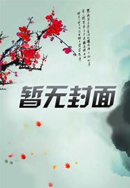 帝国大元帅封面