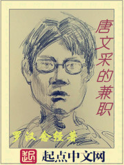 唐文采的兼职封面
