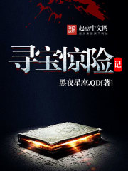 寻宝惊险记 小说封面