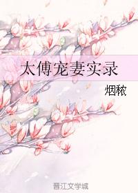 太傅宠妻实录封面
