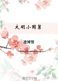 大明小国舅的太师路封面