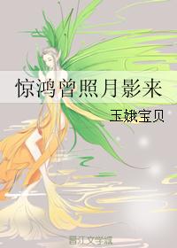 惊鸿曾照月影来封面