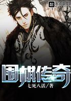 围棋传奇封面