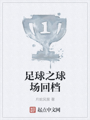 足球之球场回档封面