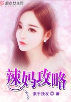 辣妈攻略封面