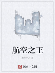 航空之王封面