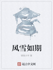 风雪如期封面