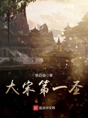 大宋第一圣封面