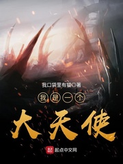 我是一个大天使封面