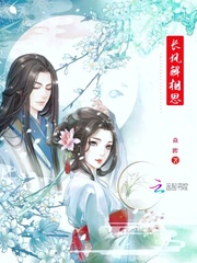 长风解相思封面