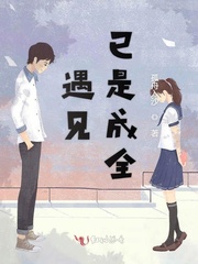 遇见已是成全封面