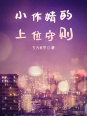 小作精的上位守则封面