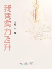 我凭实力飞升封面