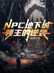 NPC地下城领主的逆袭封面
