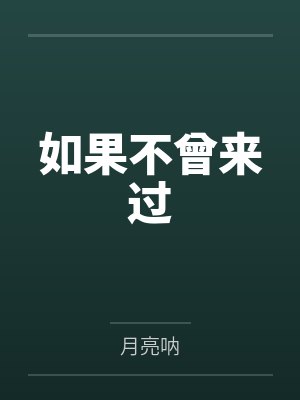 如果不曾来过封面
