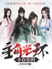 主角光环不存在的封面
