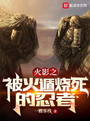 木叶之被火遁烧死的忍者篱笆好文学封面