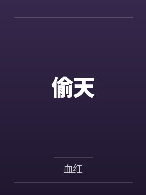 偷天封面