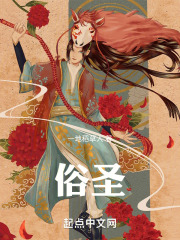 俗圣封面