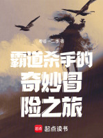 霸道杀手的奇妙冒险之旅封面