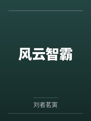 风云智霸封面
