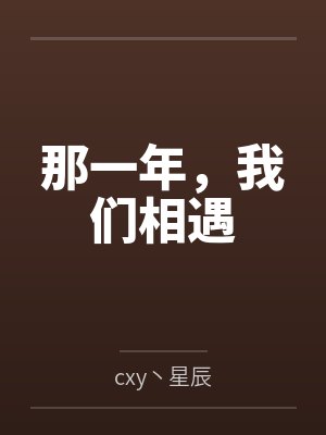 那一年，我们相遇封面