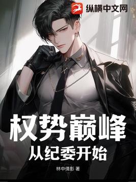 权势巅峰：从纪委开始封面