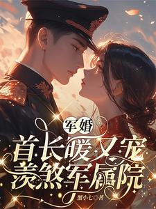 军婚首长暖又宠，羡煞军属院封面