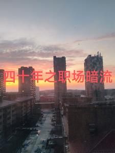 四十年之职场暗流封面