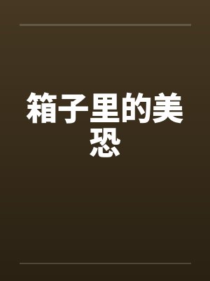 箱子里的美恐封面