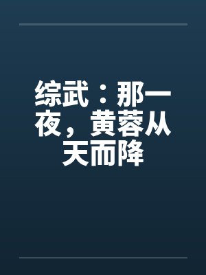 综武：那一夜，黄蓉从天而降封面