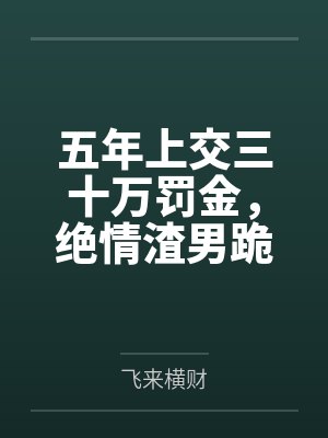 五年上交三十万罚金，绝情渣男跪求我原谅封面