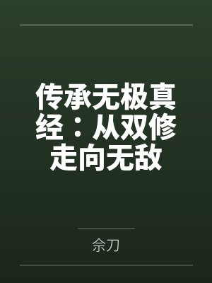 传承无极真经：从双修走向无敌封面