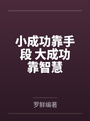 小成功靠手段 大成功靠智慧封面