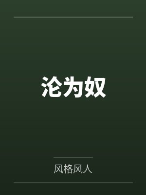 沦为奴封面